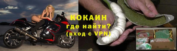 ГАЛЛЮЦИНОГЕННЫЕ ГРИБЫ Сатка